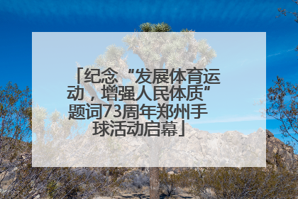 纪念“发展体育运动，增强人民体质”题词73周年郑州手球活动启幕