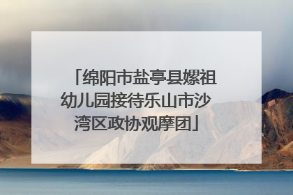 绵阳市盐亭县嫘祖幼儿园接待乐山市沙湾区政协观摩团