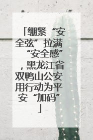 绷紧“安全弦”拉满“安全感”，黑龙江省双鸭山公安用行动为平安“加码”