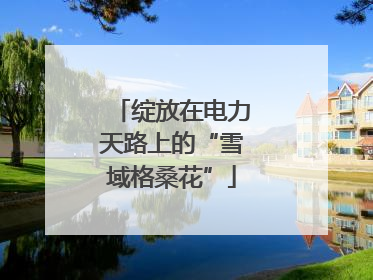 绽放在电力天路上的“雪域格桑花”