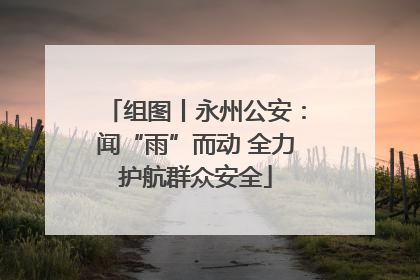 组图丨永州公安：闻“雨”而动 全力护航群众安全