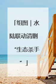 组图｜水陆联动清剿“生态杀手”