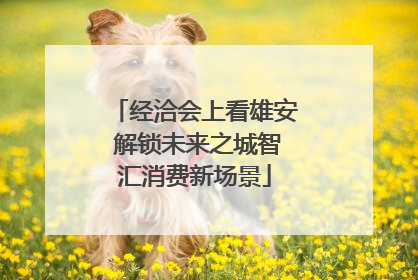 经洽会上看雄安 解锁未来之城智汇消费新场景