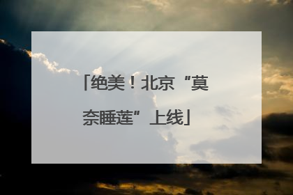 绝美！北京“莫奈睡莲”上线