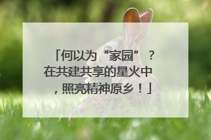 何以为“家园”？在共建共享的星火中，照亮精神原乡！