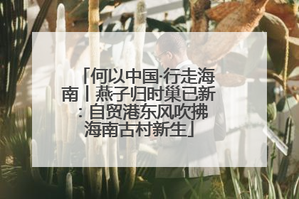 何以中国·行走海南丨燕子归时巢已新：自贸港东风吹拂 海南古村新生