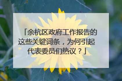 余杭区政府工作报告的这些关键词条，为何引起代表委员们热议？