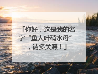你好，这是我的名字“鱼人叶硝水母”，请多关照！