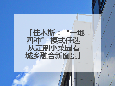 佳木斯：“一地四种” 模式任选 从定制小菜园看城乡融合新图景