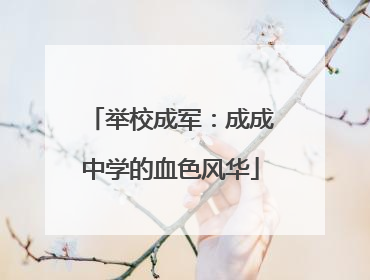 举校成军：成成中学的血色风华