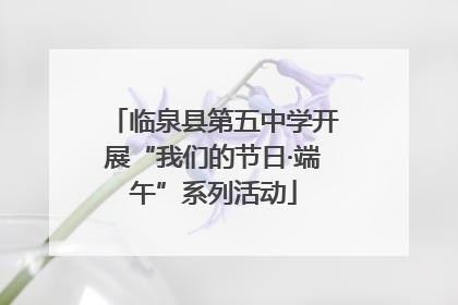 临泉县第五中学开展“我们的节日·端午”系列活动