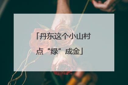 丹东这个小山村点“绿”成金
