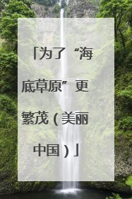 为了“海底草原”更繁茂（美丽中国）