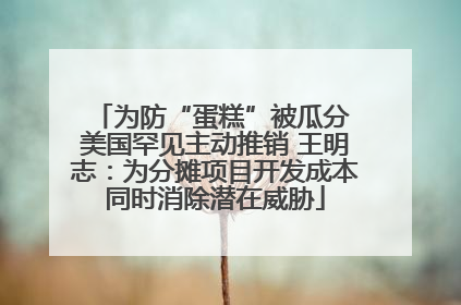 为防“蛋糕”被瓜分 美国罕见主动推销 王明志：为分摊项目开发成本同时消除潜在威胁