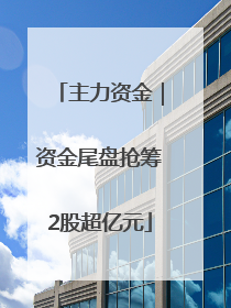 主力资金｜资金尾盘抢筹2股超亿元
