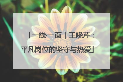 一线·一面｜王晓芹：平凡岗位的坚守与热爱