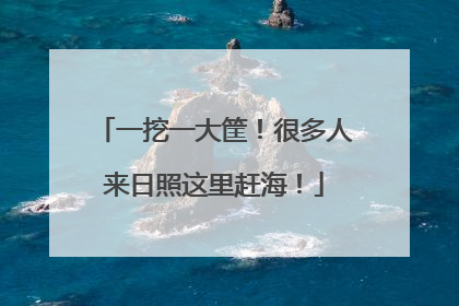 一挖一大筐！很多人来日照这里赶海！