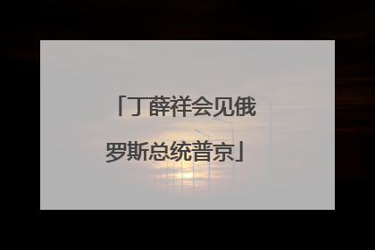 丁薛祥会见俄罗斯总统普京