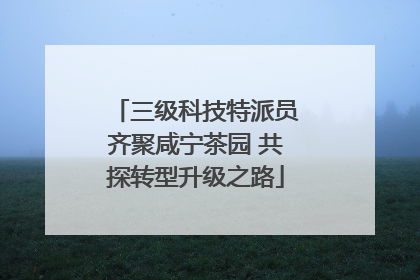 三级科技特派员齐聚咸宁茶园 共探转型升级之路