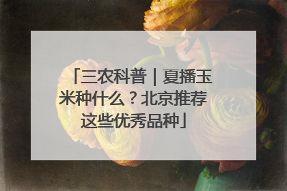 三农科普｜夏播玉米种什么？北京推荐这些优秀品种