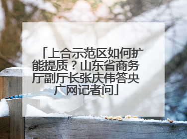 上合示范区如何扩能提质？山东省商务厅副厅长张庆伟答央广网记者问