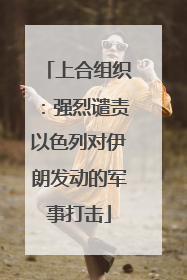 上合组织：强烈谴责以色列对伊朗发动的军事打击