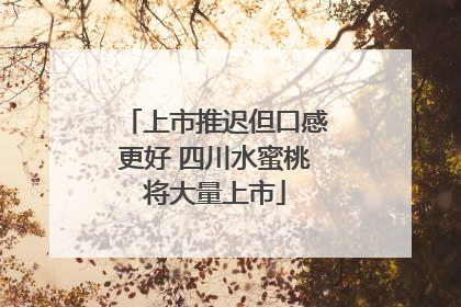 上市推迟但口感更好 四川水蜜桃将大量上市