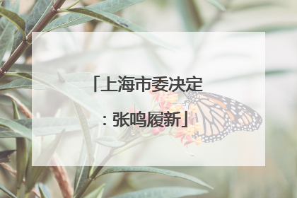上海市委决定：张鸣履新