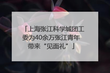 上海张江科学城团工委为40余万张江青年带来“见面礼”