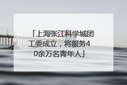 上海张江科学城团工委成立，将服务40余万名青年人