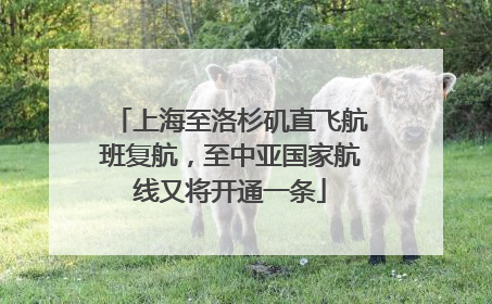 上海至洛杉矶直飞航班复航，至中亚国家航线又将开通一条