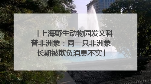 上海野生动物园发文科普非洲象：同一只非洲象长期被欺负消息不实