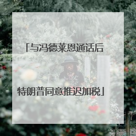 与冯德莱恩通话后 特朗普同意推迟加税