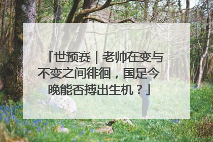 世预赛｜老帅在变与不变之间徘徊，国足今晚能否搏出生机？