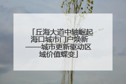 丘海大道中轴崛起 海口城市门户焕新——城市更新驱动区域价值蝶变