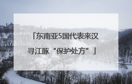 东南亚5国代表来汉寻江豚“保护处方”