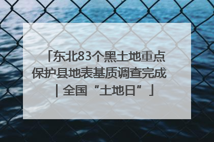 东北83个黑土地重点保护县地表基质调查完成｜全国“土地日”