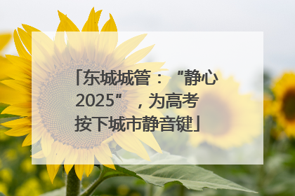 东城城管：“静心2025”，为高考按下城市静音键