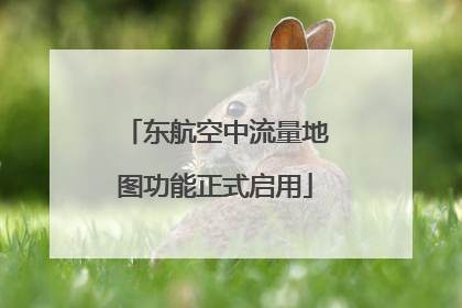 东航空中流量地图功能正式启用