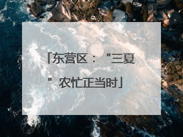 东营区：“三夏”农忙正当时