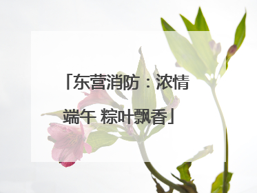 东营消防：浓情端午 粽叶飘香