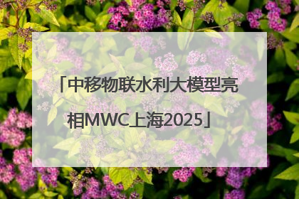 中移物联水利大模型亮相MWC上海2025