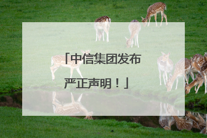 中信集团发布严正声明！