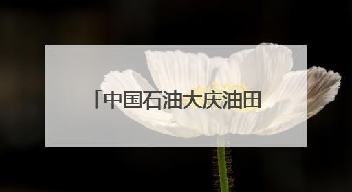 中国石油大庆油田：黑金沃土绽绿颜