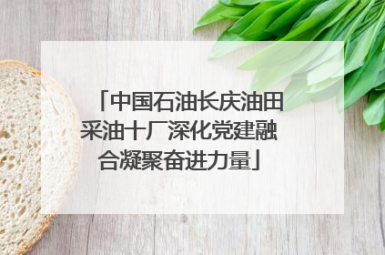 中国石油长庆油田采油十厂深化党建融合凝聚奋进力量