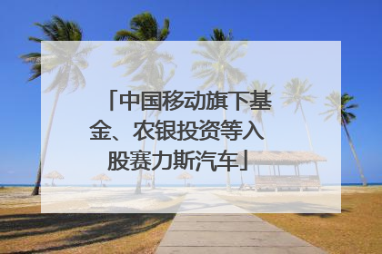 中国移动旗下基金、农银投资等入股赛力斯汽车