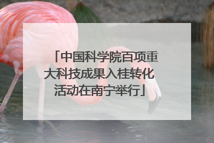 中国科学院百项重大科技成果入桂转化活动在南宁举行