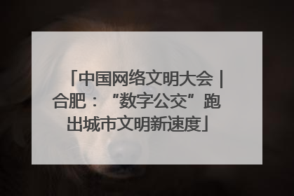 中国网络文明大会｜合肥：“数字公交”跑出城市文明新速度