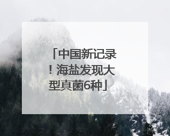 中国新记录！海盐发现大型真菌6种