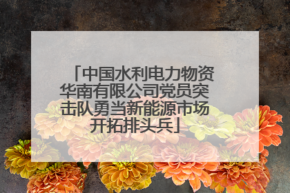 中国水利电力物资华南有限公司党员突击队勇当新能源市场开拓排头兵